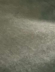 Glossy Velvet Fabric 1.5 Biceps